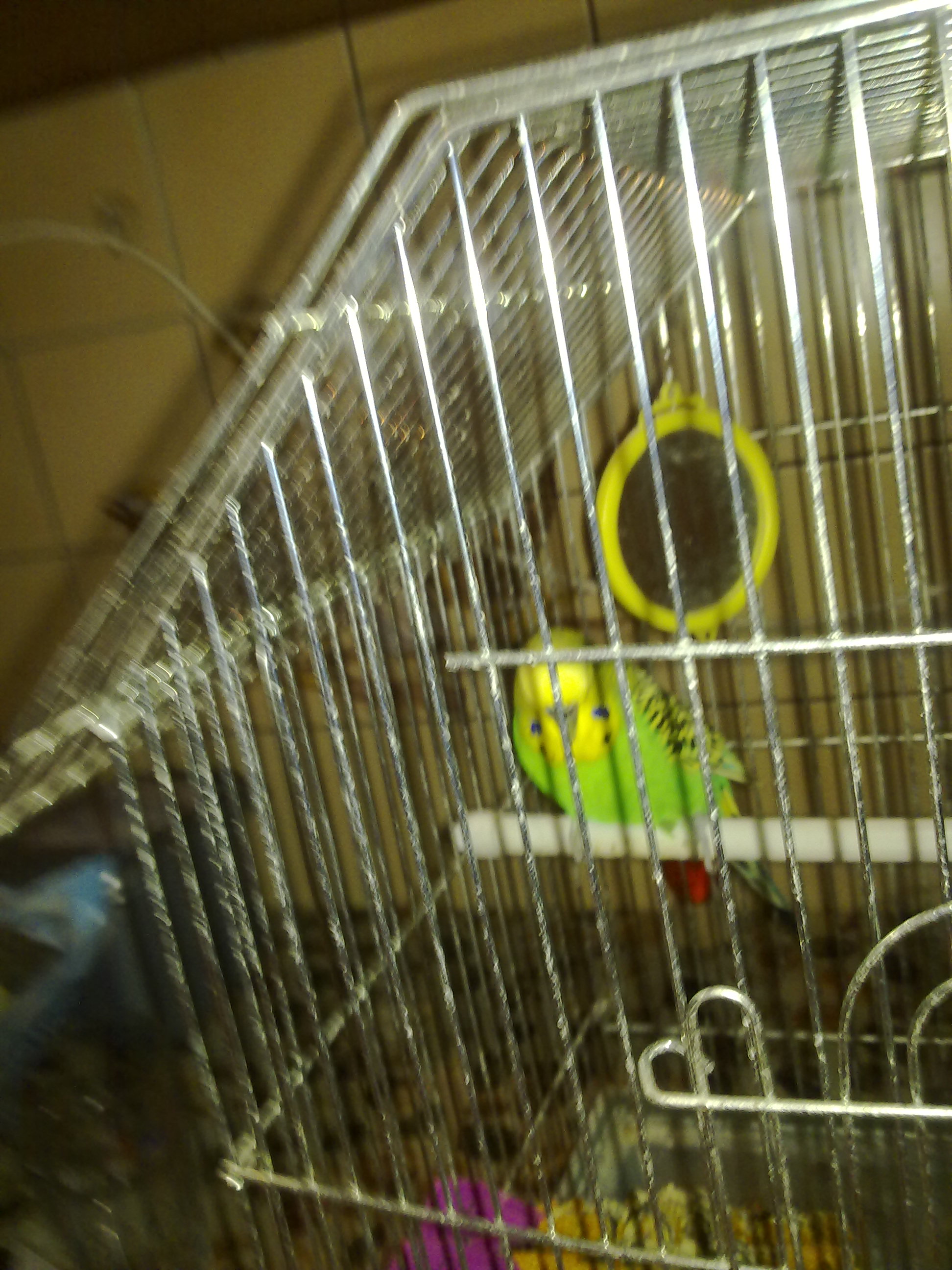 20082009607.jpg